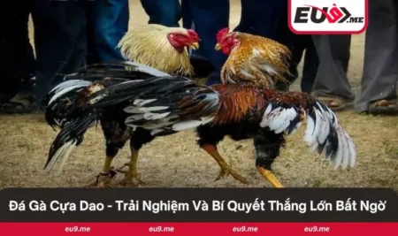đá gà cựa dao